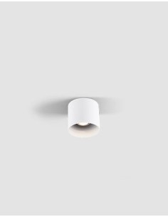 Wever & Ducré Proyector Ray Ceiling 1.0 Par16 W