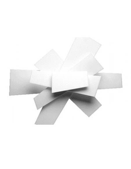 Foscarini Big Bang lámpara de techo y pared
