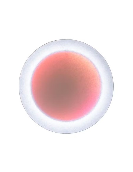 Lámpara de Techo LED Moodmoon RGBW de Ingo Maurer
