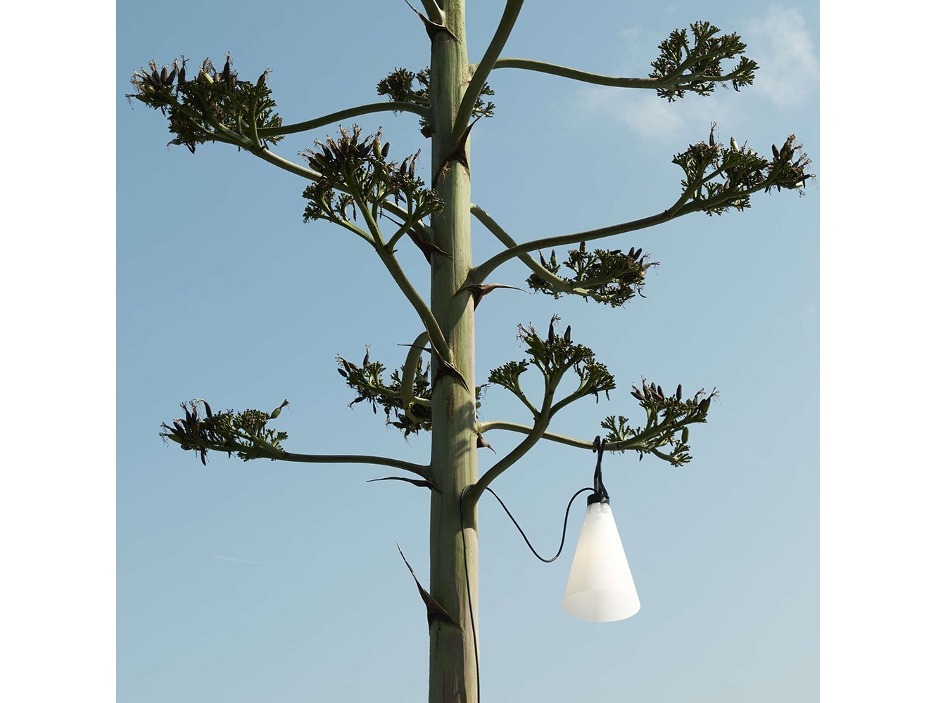 Lámpara Mayday Outdoor de Flos: Versatilidad y Estilo para Exteriores