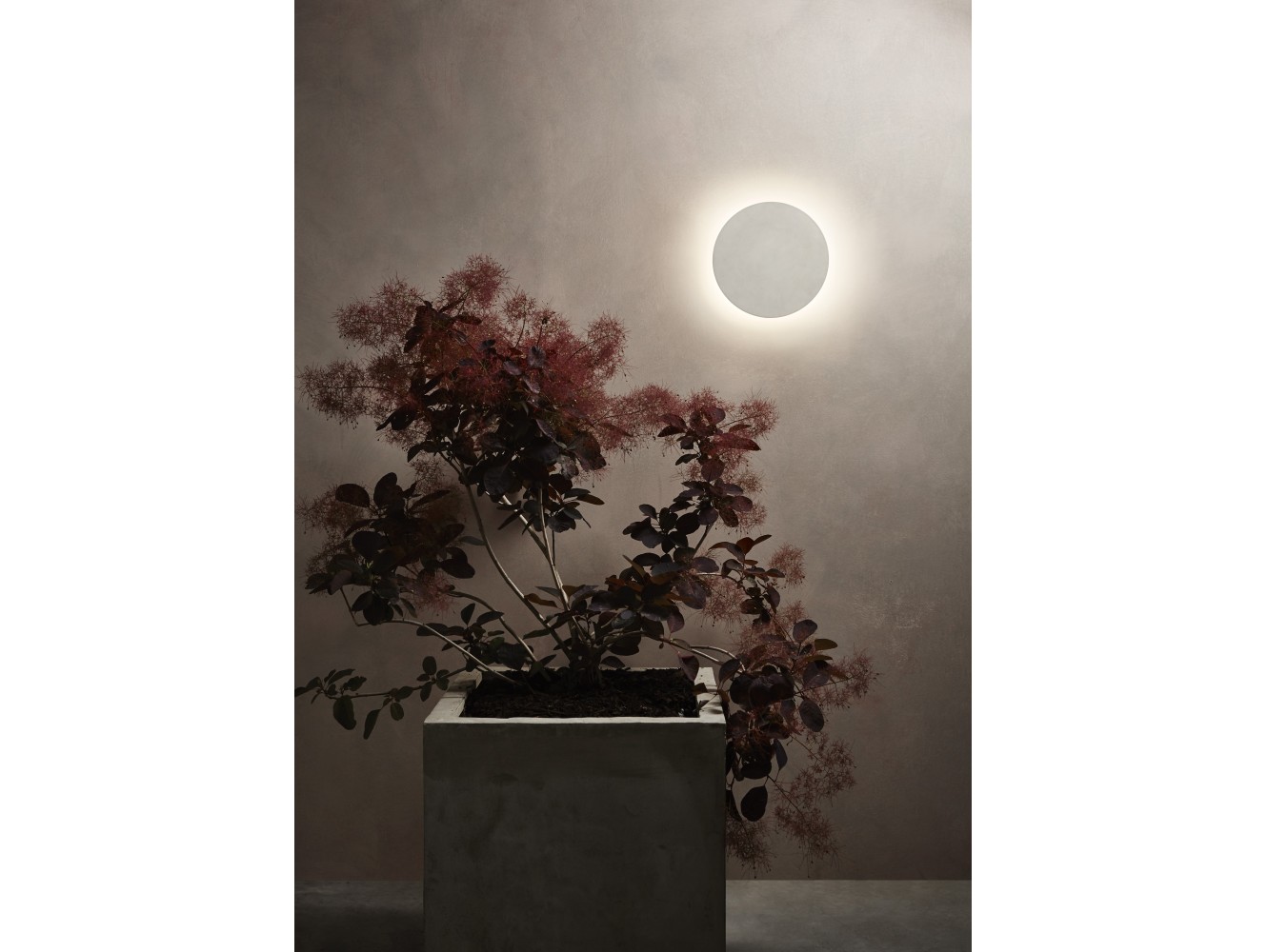 Astro Aplique de exterior Eclipse Round 300 LED