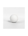 Astro Pantalla Tacoma Glass