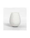 Astro Pantalla Tacoma Tulip Glass
