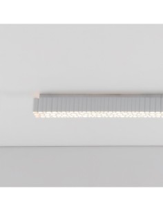 Artemide Calipso Linear System C 60
